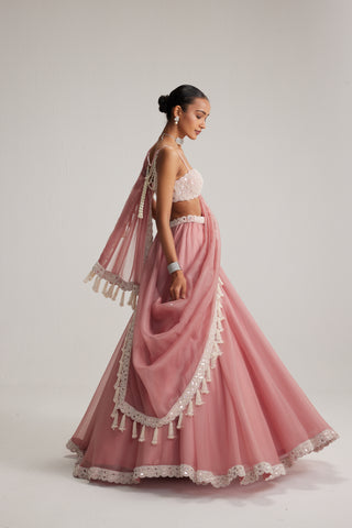 Lehenga set, Indian Wedding - Dusty Rose Organza Mirror Pearl by Vvani By Vani Vats