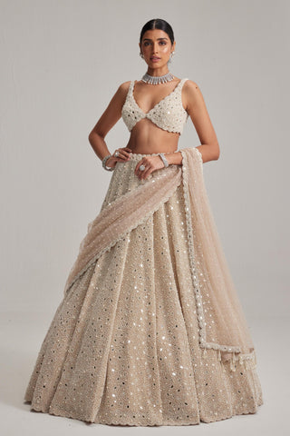 Lehenga Set for Indian Wedding – Light Beige by Vvani By Vani Vats