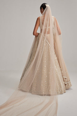 Lehenga Set for Indian Wedding – Light Beige Double Dupatta & Veil by Vvani By Vani Vats