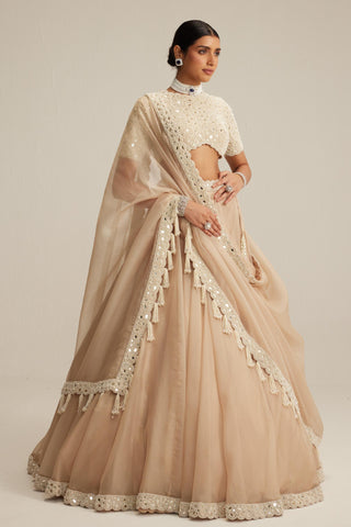 Lehenga set, Indian Wedding - High Neck Organza Mirror Pearl by Vvani By Vani Vats