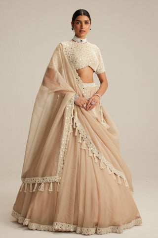 Lehenga set, Indian Wedding - High Neck Organza Mirror Pearl by Vvani By Vani Vats