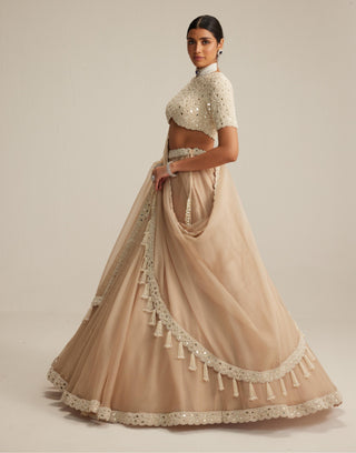 Lehenga set, Indian Wedding - High Neck Organza Mirror Pearl by Vvani By Vani Vats