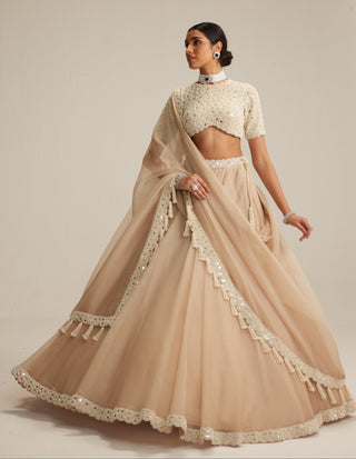 Lehenga set, Indian Wedding - High Neck Organza Mirror Pearl by Vvani By Vani Vats