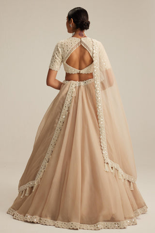 Lehenga set, Indian Wedding - High Neck Organza Mirror Pearl by Vvani By Vani Vats