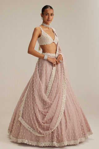 Lehenga set, Indian Wedding - Ash Pink Pearl Drop Organza by Vvani By Vani Vats