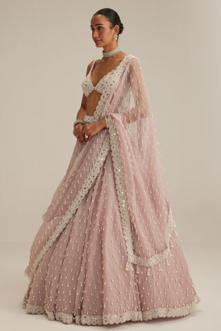 Lehenga set, Indian Wedding - Ash Pink Pearl Drop Organza by Vvani By Vani Vats