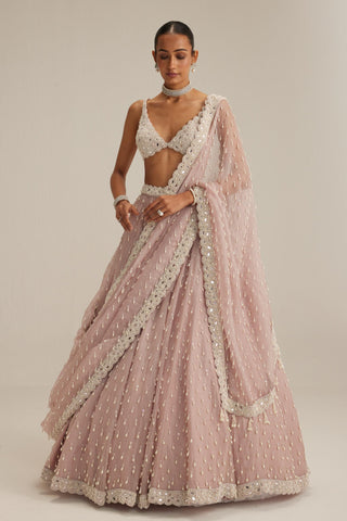 Lehenga set, Indian Wedding - Ash Pink Pearl Drop Organza by Vvani By Vani Vats