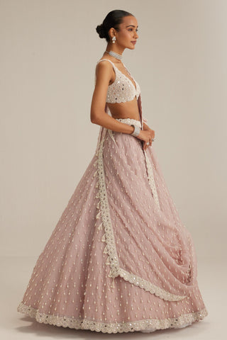 Lehenga set, Indian Wedding - Ash Pink Pearl Drop Organza by Vvani By Vani Vats