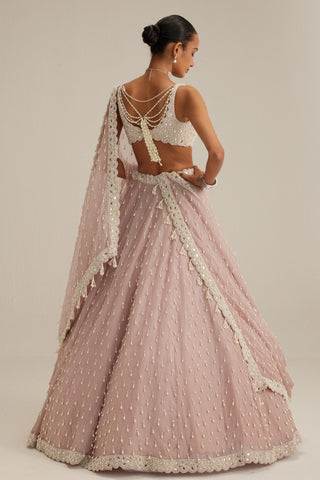 Lehenga set, Indian Wedding - Ash Pink Pearl Drop Organza by Vvani By Vani Vats