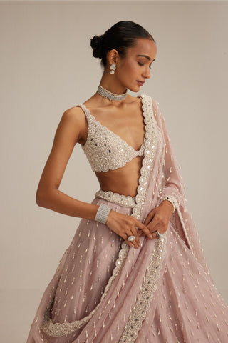 Lehenga set, Indian Wedding - Ash Pink Pearl Drop Organza by Vvani By Vani Vats