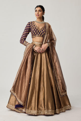 Lehenga Set for Indian Weddings – Brown Tissue Mughal Motif by Vvani by Vani Vats
