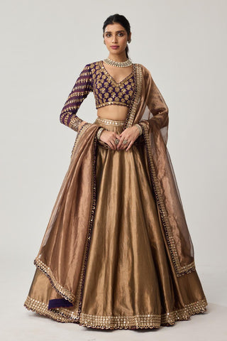 Lehenga Set for Indian Weddings – Brown Tissue Mughal Motif by Vvani by Vani Vats