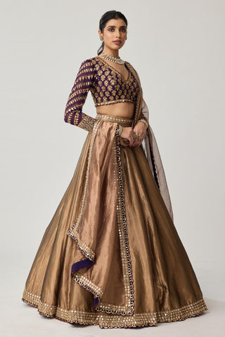 Lehenga Set for Indian Weddings – Brown Tissue Mughal Motif by Vvani by Vani Vats
