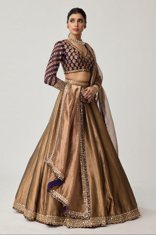 Lehenga Set for Indian Weddings – Brown Tissue Mughal Motif by Vvani by Vani Vats