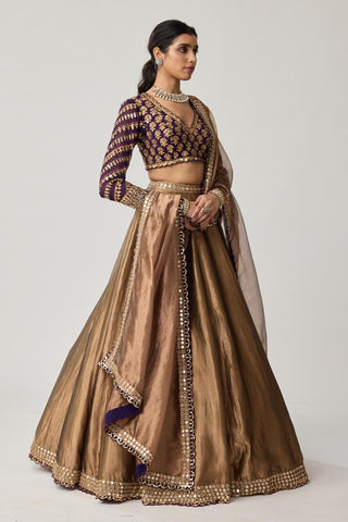 Lehenga Set for Indian Weddings – Brown Tissue Mughal Motif by Vvani by Vani Vats