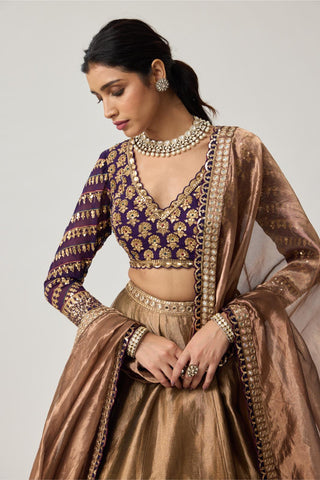 Lehenga Set for Indian Weddings – Brown Tissue Mughal Motif by Vvani by Vani Vats