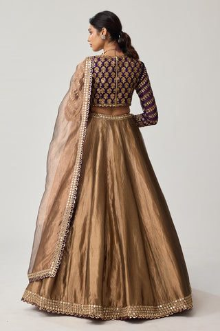 Lehenga Set for Indian Weddings – Brown Tissue Mughal Motif by Vvani by Vani Vats