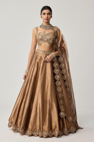 Lehenga Set for Indian Weddings – Brown Mirror Geometry by Vvani by Vani Vats