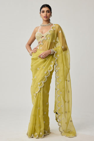 Saree Set for Indian Weddings – Green Mirror & Pearl by Vvani by Vani Vats