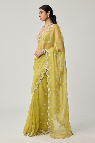 Saree Set for Indian Weddings – Green Mirror & Pearl by Vvani by Vani Vats