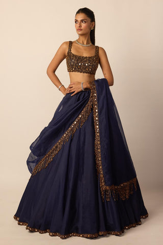Lehenga Set for Indian Wedding – Deep Blue Tassel Dupatta by Vvani By Vani Vats
