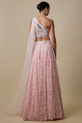 Full-length back view of the baby pink mirror blouse with a sheer trail over the sequin net lehenga by Asaga at Mrs. G