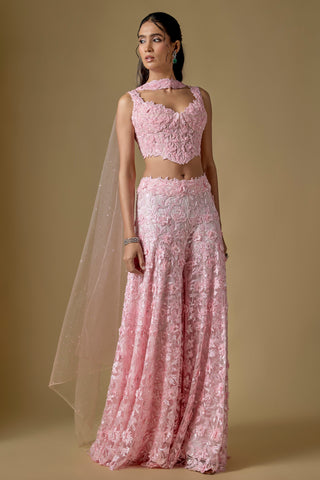 Full-length front view of the baby pink 3D floral appliqué corset, collar and sharara with a net dupatta by Asaga at Mrs. G