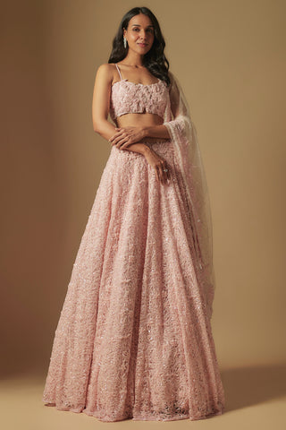 Front view of blush pink eke lehenga with spaghetti-strap blouse and net dupatta by Asaga at Mrs. G