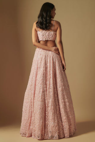 Back view of blush pink strappy crop blouse and flared leaf appliqué lehenga by Asaga at Mrs. G