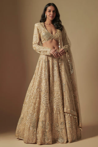 Front view of champagne bronx full-sleeve blouse, mirror work lehenga and sequin-edged net dupatta by Asaga at Mrs. G