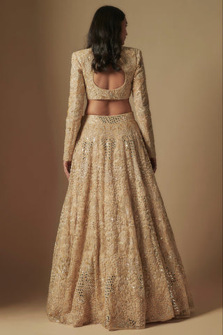 Back view of champagne rounded cutout blouse and gold thread work lehenga by Asaga at Mrs. G
