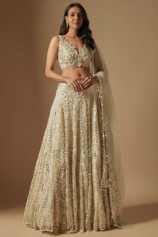 Front view of ivory ambler lehenga with leaf appliqué, V-neck blouse and net dupatta by Asaga at Mrs. G