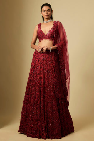 Full-length front view of the red lehenga set with a dori embroidered net skirt and a sheer dupatta by Asaga at Mrs. G