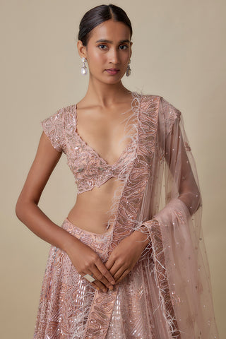 Waist-up view of the rose gold cap-sleeve V-neck blouse and feather-trim net dupatta by Asaga at Mrs. G