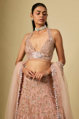 Waist-up view of the rose gold mirror-work halter blouse and net dupatta with a mirror border by Asaga at Mrs. G