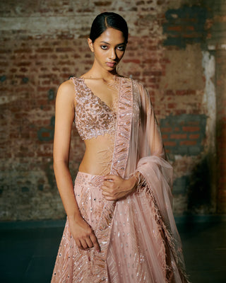Waist-up view of the rose gold V-neck blouse and mirror waistband with the paisley-border dupatta by Asaga at Mrs. G