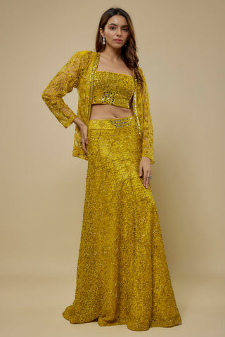 Front view of a yellow mirror work crop top and sheer vine embroidered jacket over a flared skirt by Asaga at Mrs. G