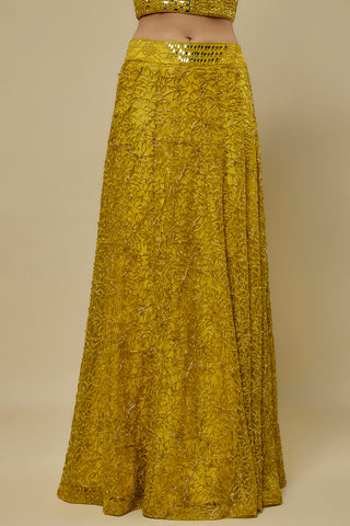 Waist-down view of the yellow vine embroidered skirt with a V-shaped mirror work waistband by Asaga at Mrs. G