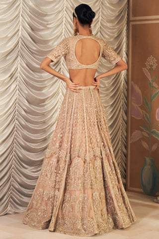Beige sukhan hunar lehenga set
