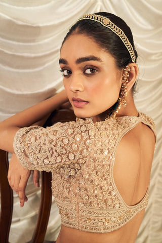 Beige sukhan hunar lehenga set