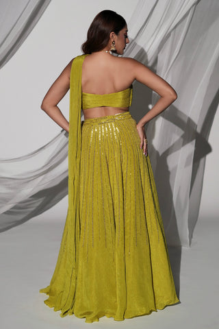 Back view of the green lehenga set showing the pleated blouse back and drape down the skirt by Kiyohra at Mrs. G