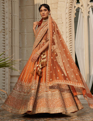 Aster rust embroidered lehenga set