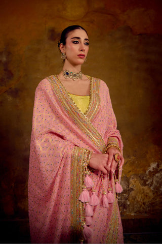 Blush Pink Banarasi Bandhani Saree with Lime Green Blouse