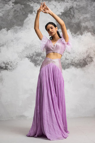 Purple embroidered beads skirt and blouse