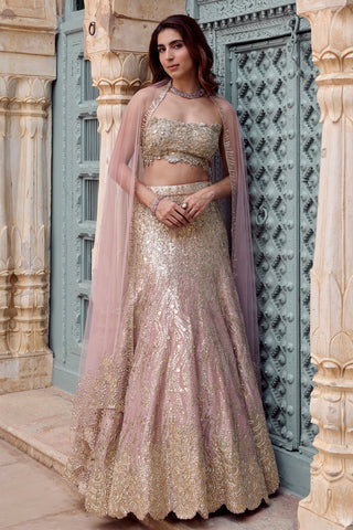 Front view of camellia pink mermaid lehenga set with strapless bustier and tulle dupatta on a stone doorway by Osaa by Adarsh at Mrs. G