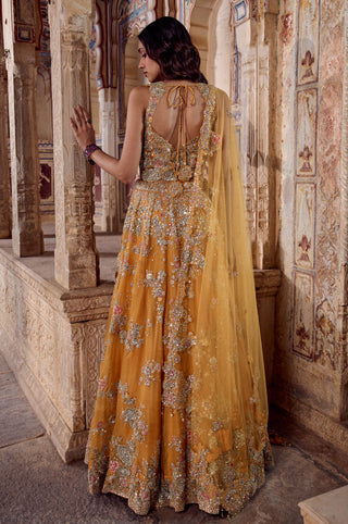 Back view of honey orange open back top with tie closure and sheer tulle dupatta by Osaa by Adarsh at Mrs. G