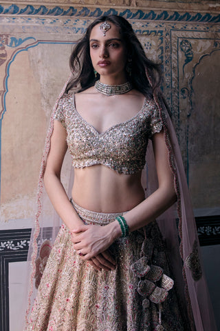 Waist-up view of skin rose V-neck blouse, embroidered waistband and dupatta border by Osaa by Adarsh at Mrs. G