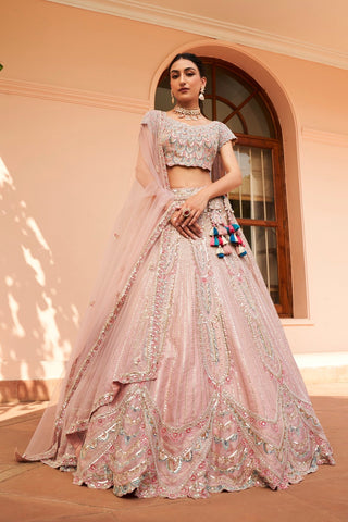 Front view of soft berry lehenga with cap-sleeve embroidered blouse and soft pink net dupatta by Osaa by Adarsh at Mrs. G