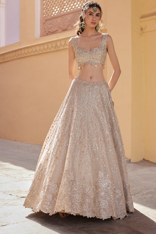 Front view of beige champagne lehenga with sweetheart sequin blouse and 3D floral hem border by Osaa by Adarsh at Mrs. G