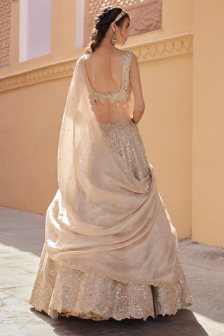 Back view of beige champagne lehenga with scoop-back blouse and matching dupatta by Osaa by Adarsh at Mrs. G